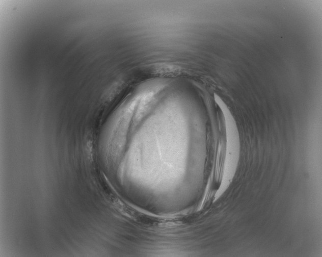 X0000066950716200604142049