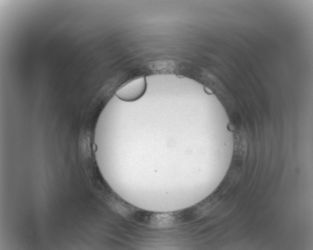 X0000066950717200604142049