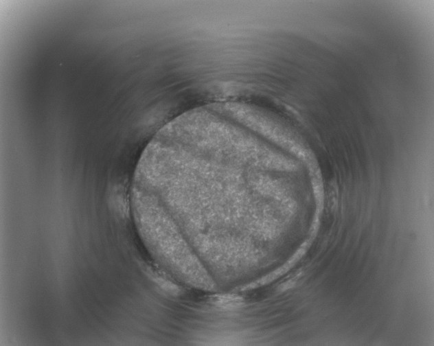 X0000066950719200604142049