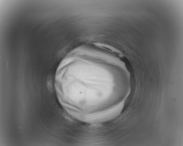 X0000066950720200604142049