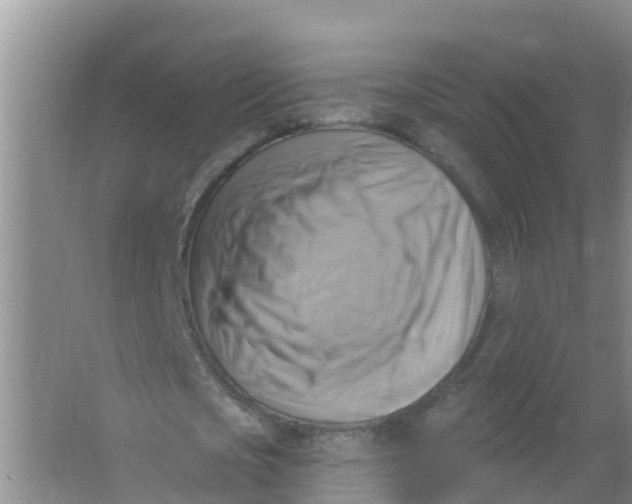 X0000066950721200604142048