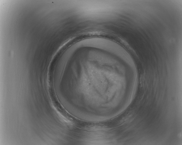 X0000066950722200604142048