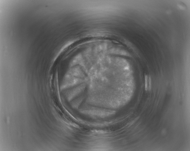 X0000066950723200604142048