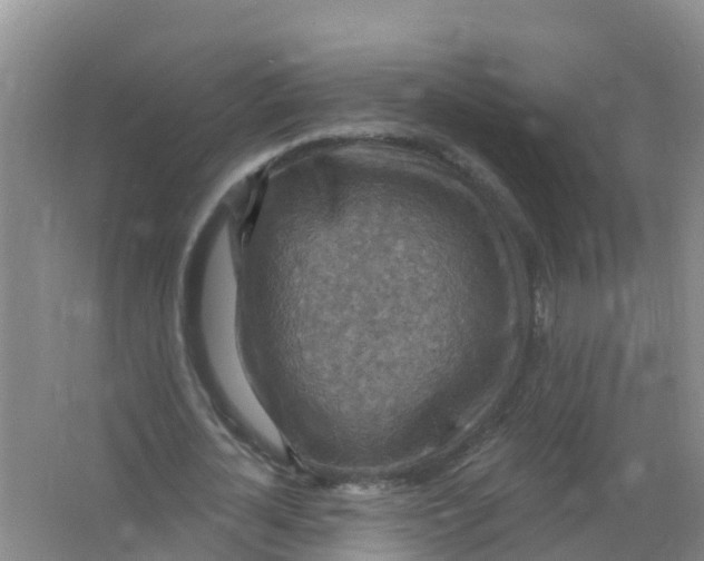 X0000066950724200604142048