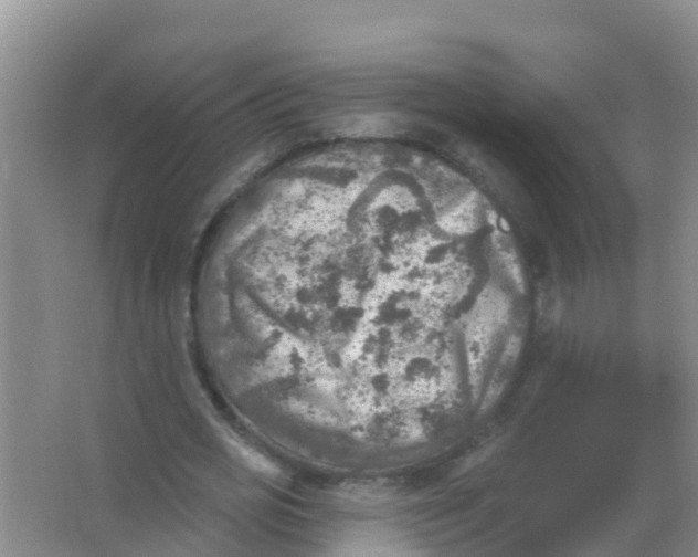 X0000066950725200604142048