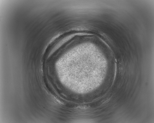 X0000066950727200604142048