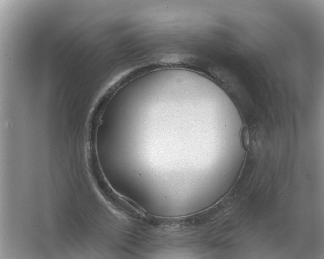 X0000066950728200604142048