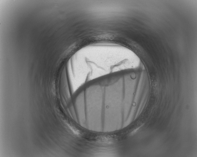 X0000066950729200604142048