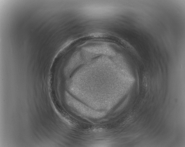 X0000066950730200604142048