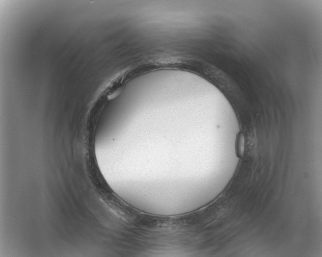 X0000066950732200604142049