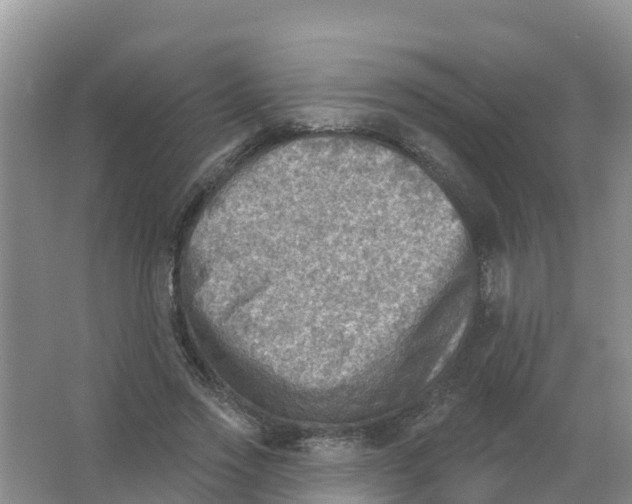 X0000066950733200604142049