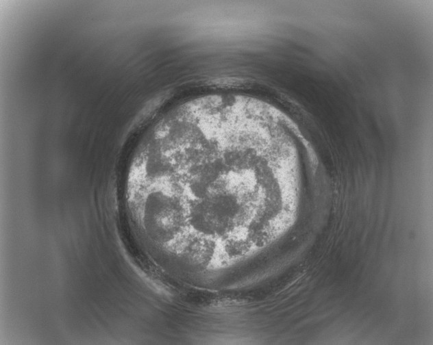 X0000066950734200604142049