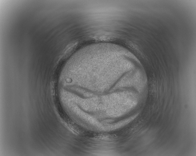 X0000066950738200604142049