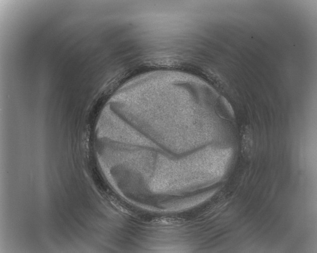 X0000066950739200604142049