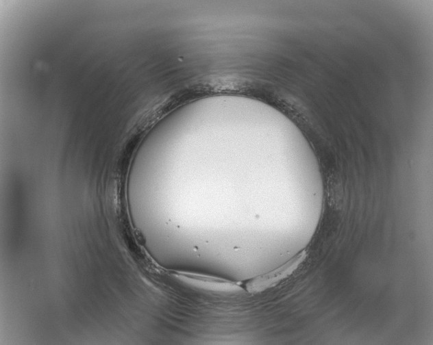 X0000066950740200604142049