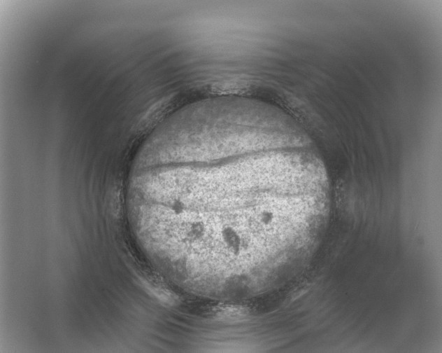 X0000066950741200604142049