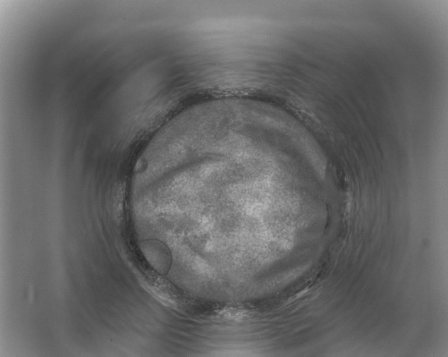 X0000066950742200604142049