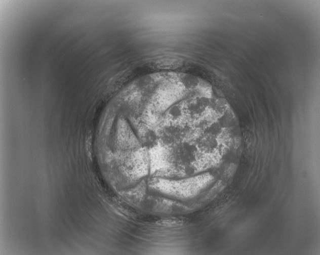 X0000066950745200604142049