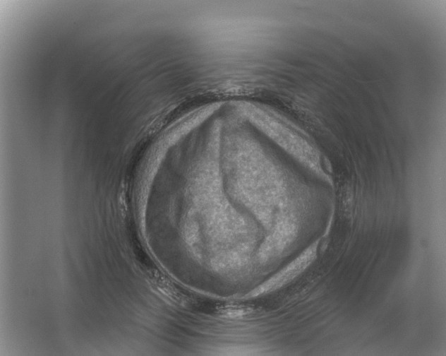 X0000066950746200604142049