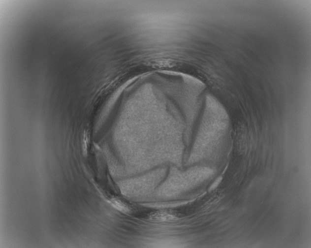 X0000066950747200604142049