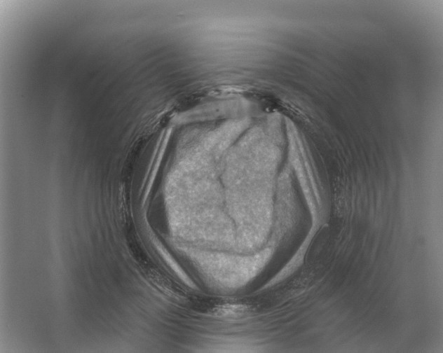 X0000066950748200604142049