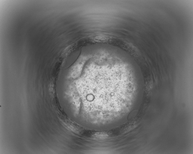 X0000066950749200604142049