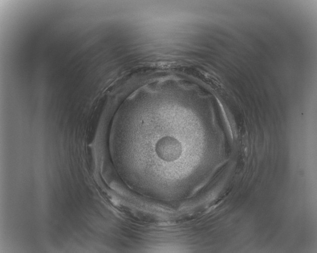 X0000066950750200604142049