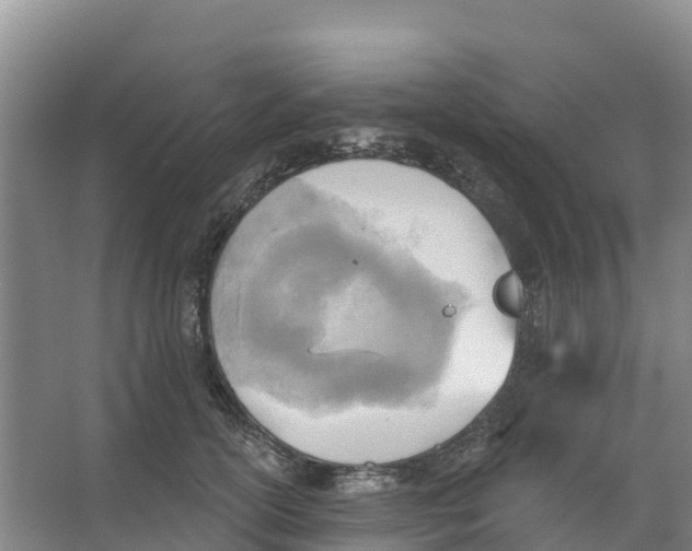 X0000066950754200604142049