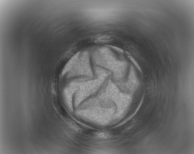 X0000066950755200604142049