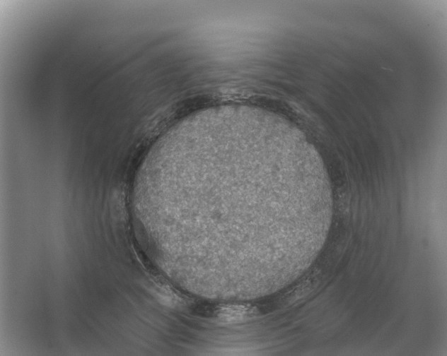 X0000066950757200604142049