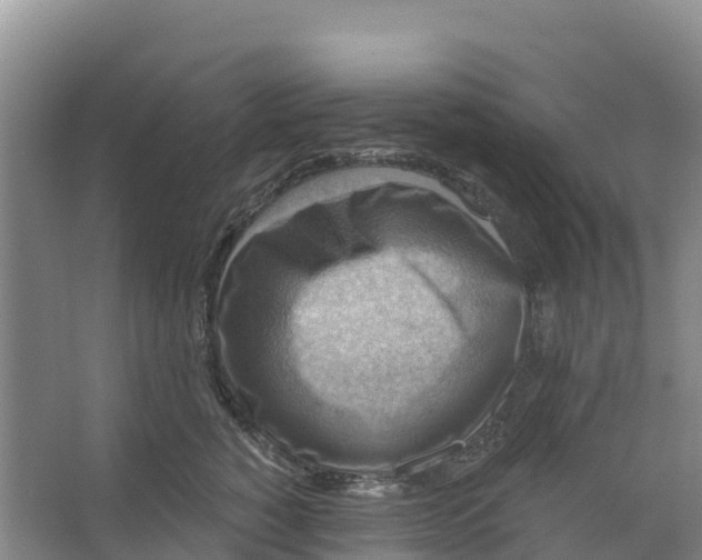 X0000066950760200604142049