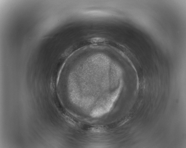 X0000066950763200604142049