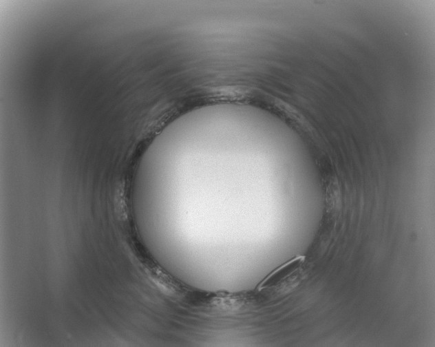 X0000066950764200604142049