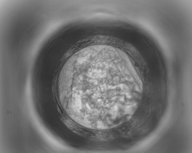 X0000066950765200604142049