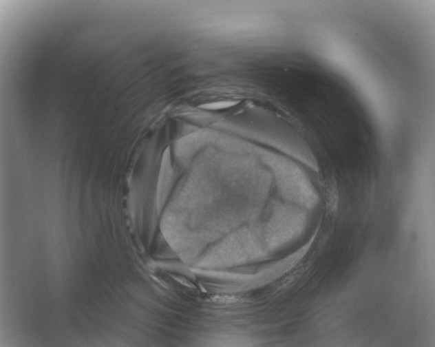 X0000066950766200604142049