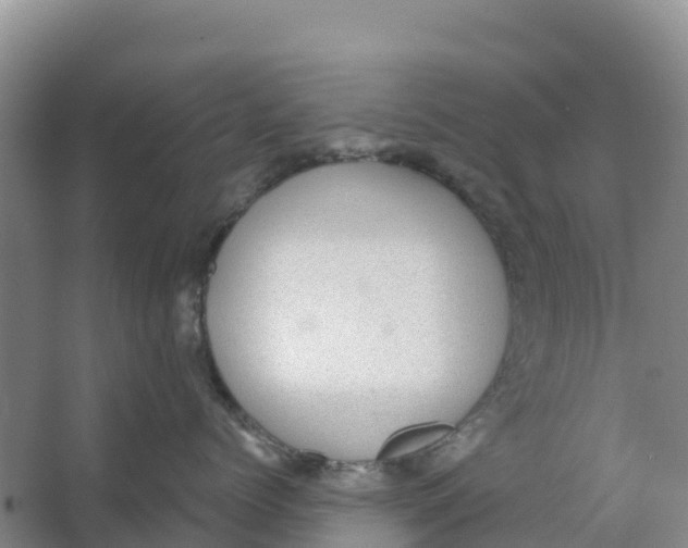 X0000066950768200604142049