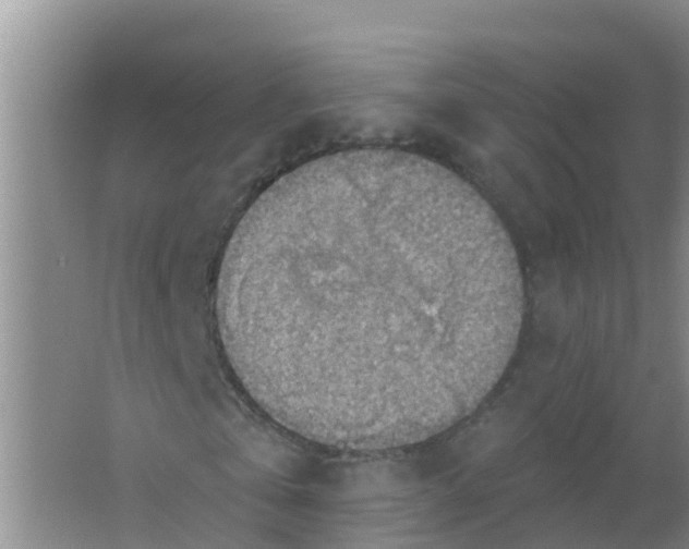 X0000066950769200604142048