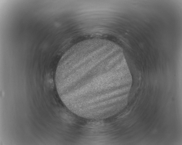 X0000066950771200604142048