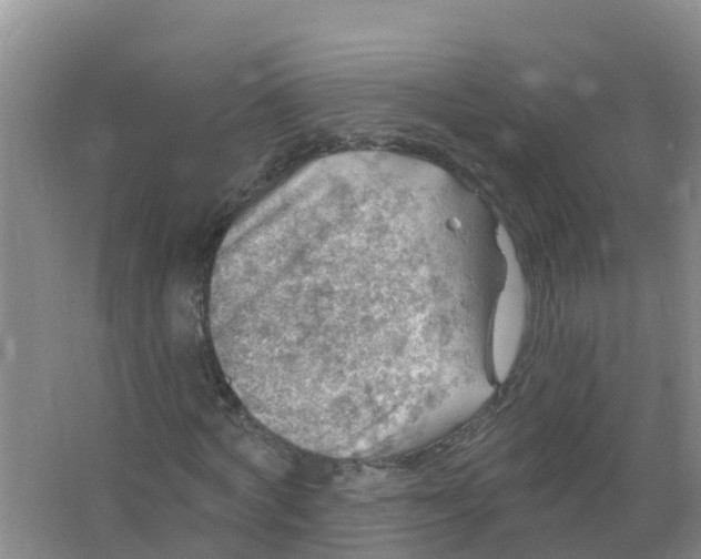 X0000066950772200604142048