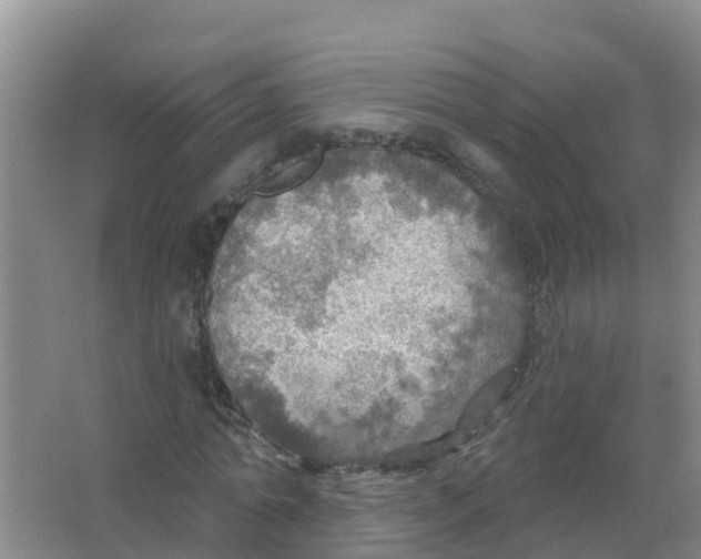 X0000066950774200604142048