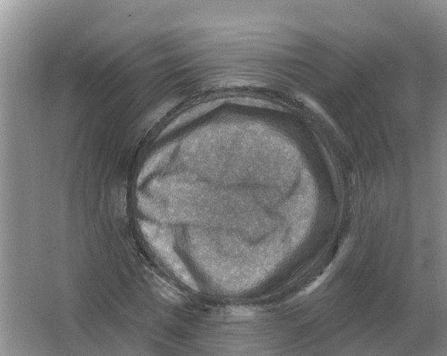 X0000066950777200604142048