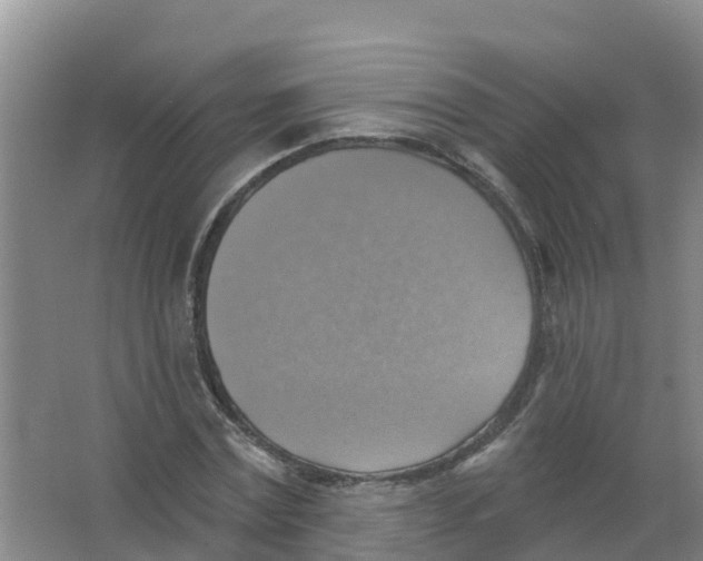 X0000066950779200604142048