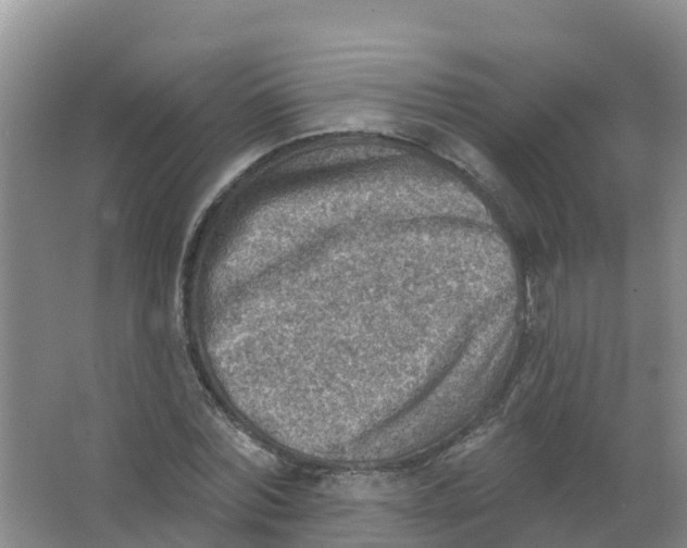 X0000066950780200604142048