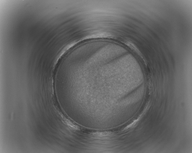 X0000066950781200604142048