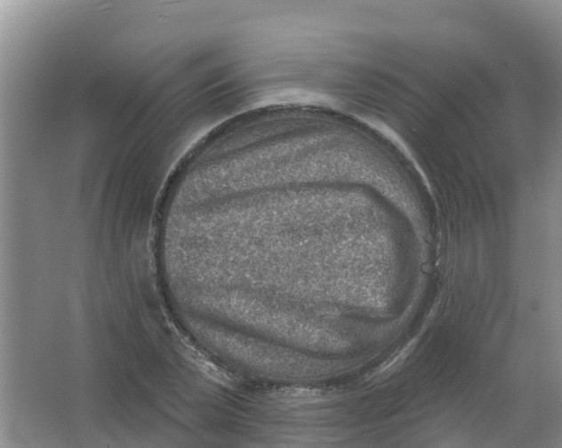 X0000066950783200604142048