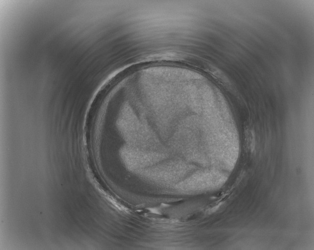 X0000066950784200604142048