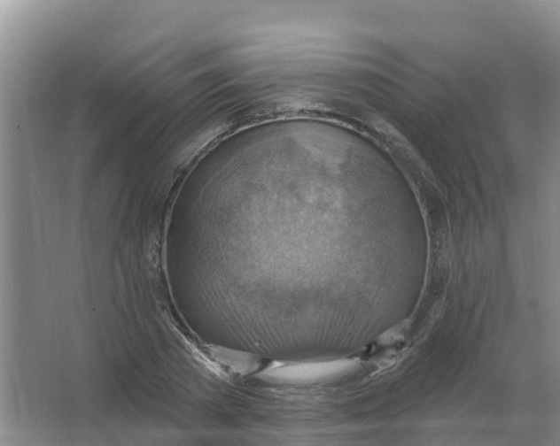 X0000066950785200604142048