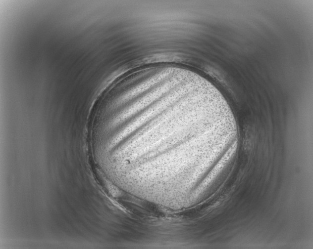 X0000066950786200604142048