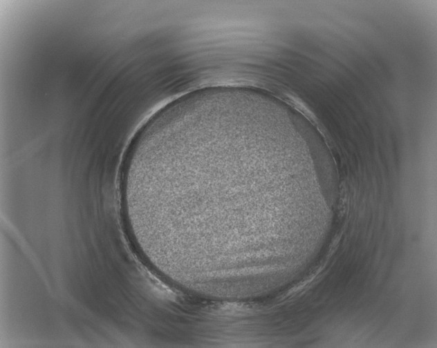 X0000066950787200604142048