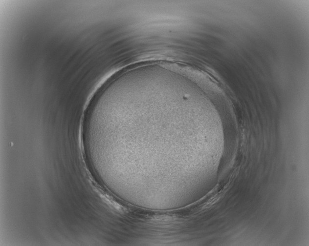 X0000066950788200604142048